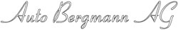 YBI3Jhr7iW___auto-bergmann-logo-250